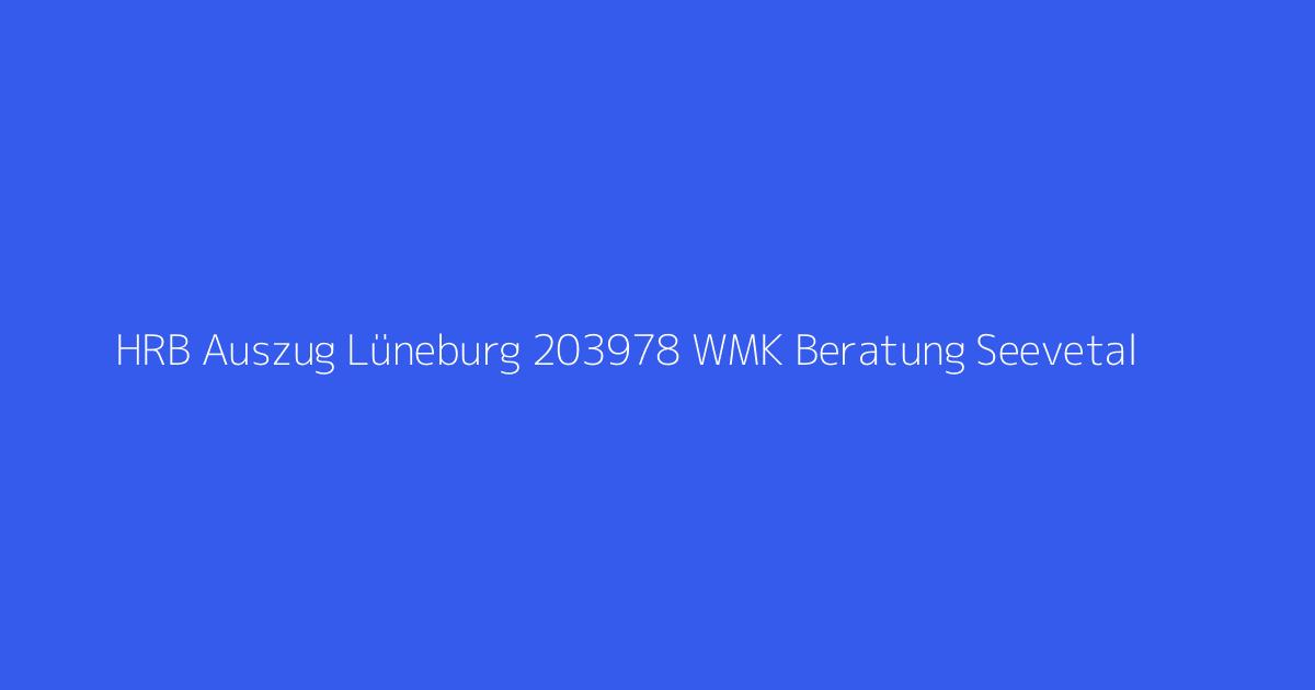 HRB Auszug Lüneburg 203978 WMK Beratung Seevetal